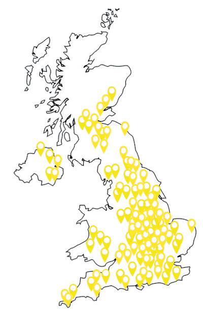 Coach-map-clear yellow